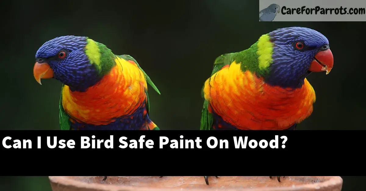 Can I Use Bird Safe Paint On Wood?