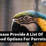 Can You Please Provide A List Of Healthy Food Options For Parrots?