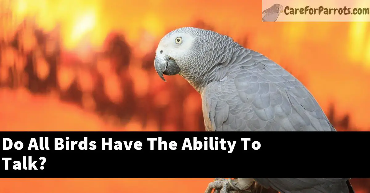 Do All Birds Have The Ability To Talk? Care For Parrots
