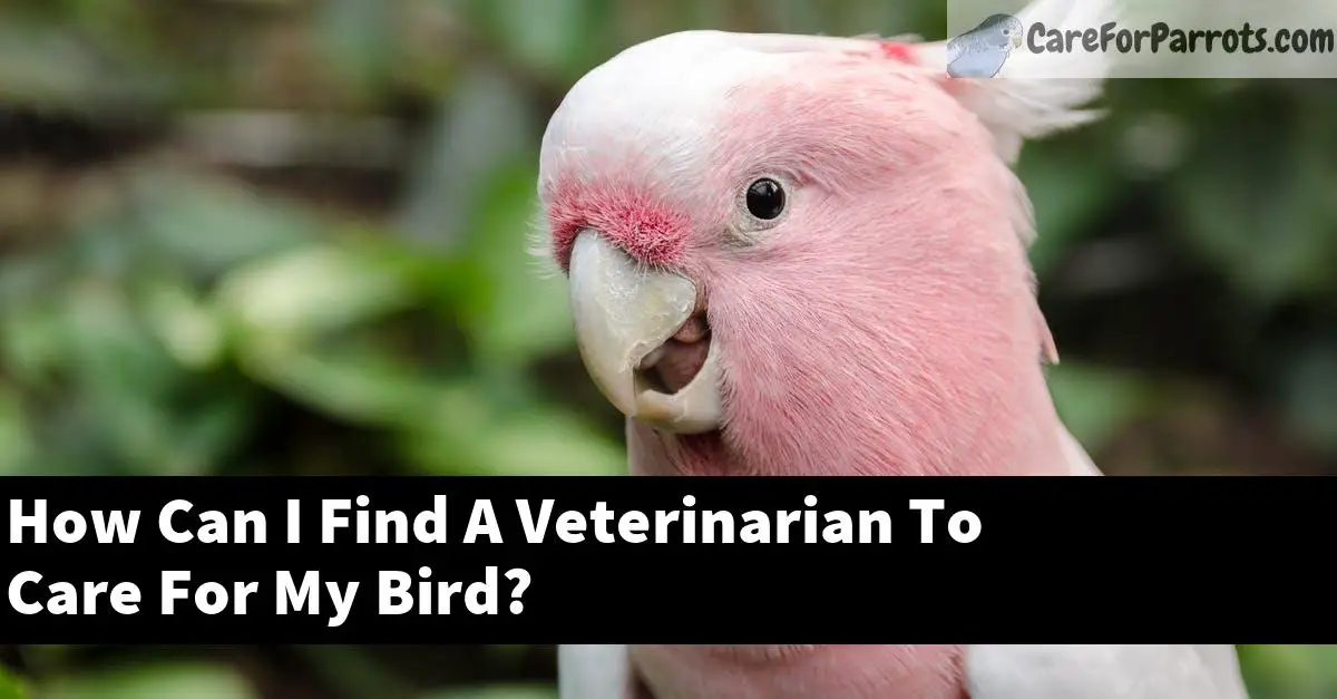 How Can I Find A Veterinarian To Care For My Bird?
