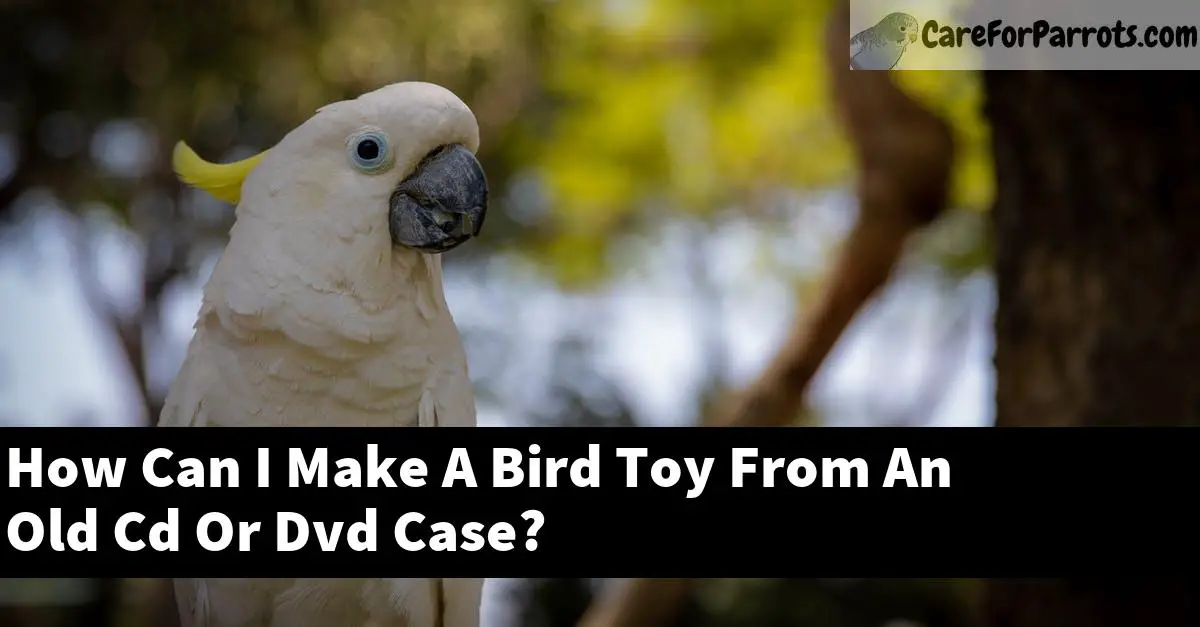 How Can I Make A Bird Toy From An Old Cd Or Dvd Case?