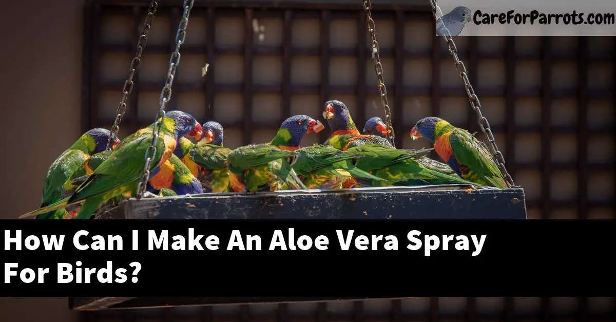 How Can I Make An Aloe Vera Spray For Birds?