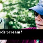 How Do Birds Scream?