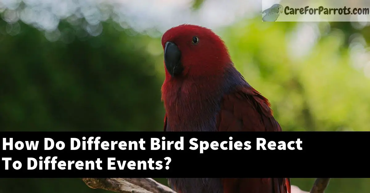 How Do Different Bird Species React To Different Events?