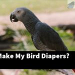 How Do I Make My Bird Diapers?