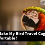 How Do I Make My Bird Travel Cage More Comfortable?