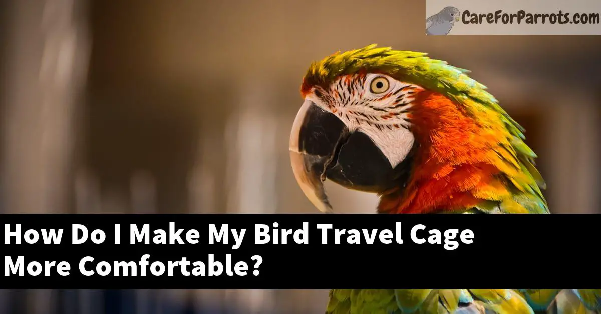How Do I Make My Bird Travel Cage More Comfortable?