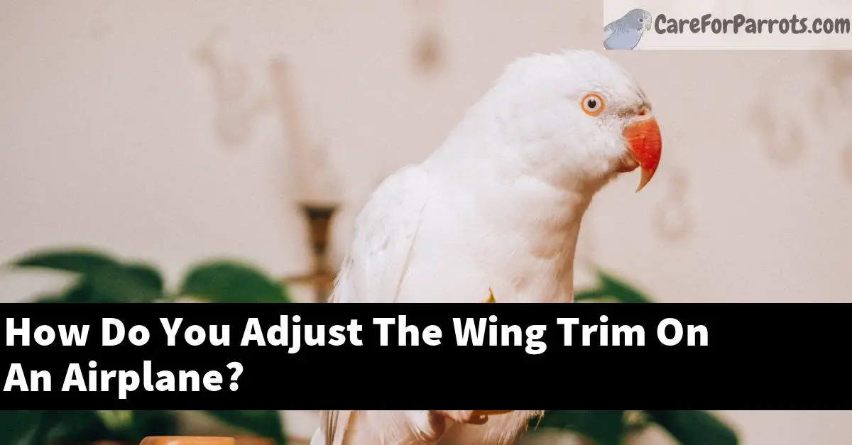 How Do You Adjust The Wing Trim On An Airplane?