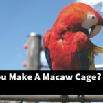 How Do You Make A Macaw Cage?
