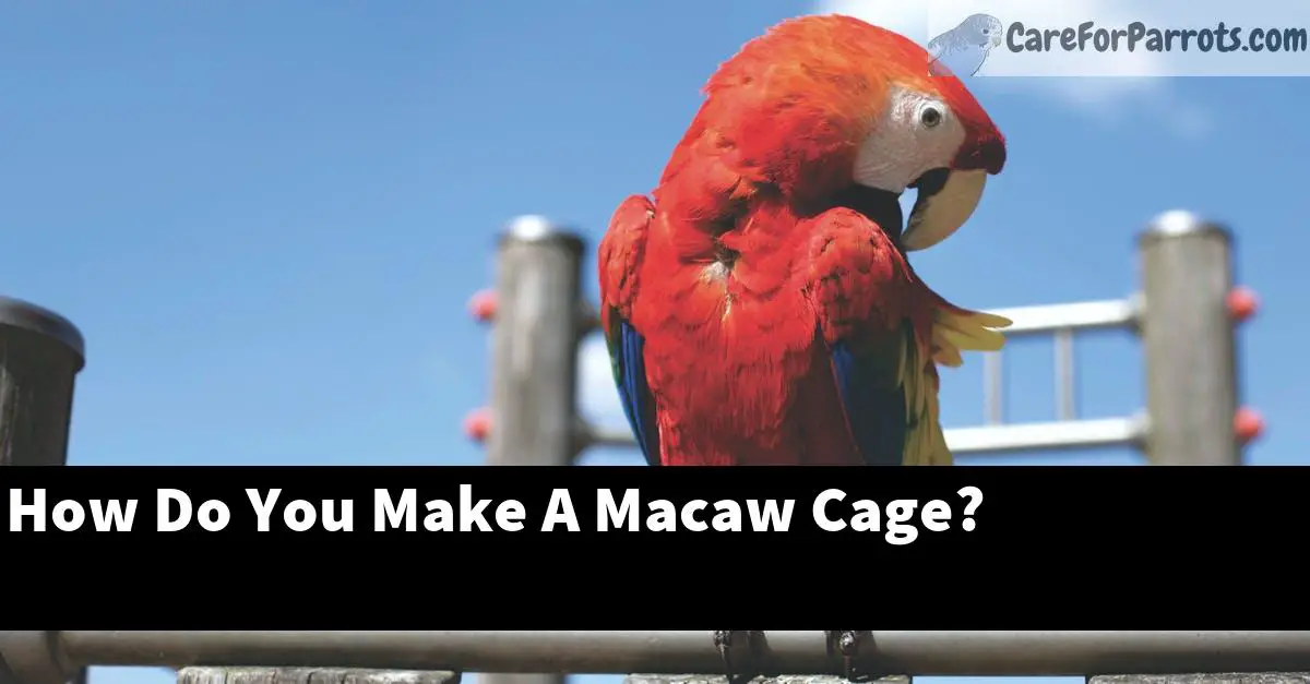 How Do You Make A Macaw Cage?