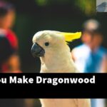 How Do You Make Dragonwood Branches?