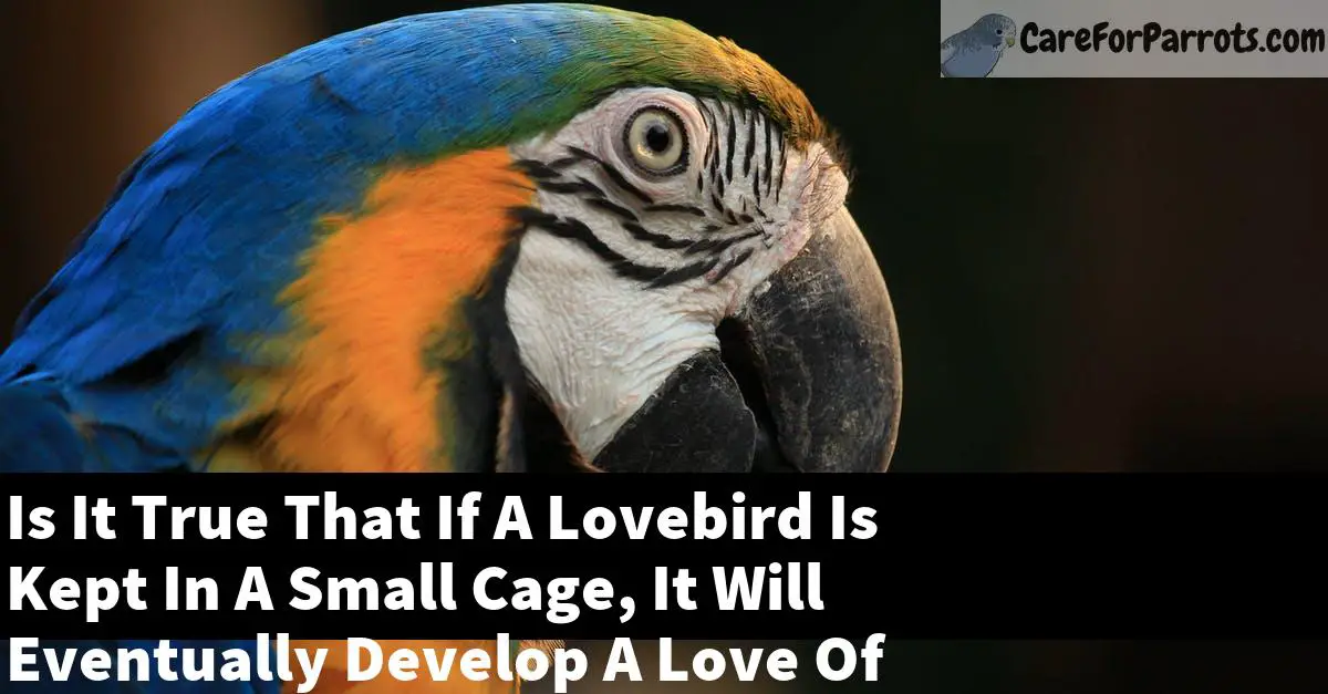 Is It True That If A Lovebird Is Kept In A Small Cage, It Will Eventually Develop A Love Of Humans?