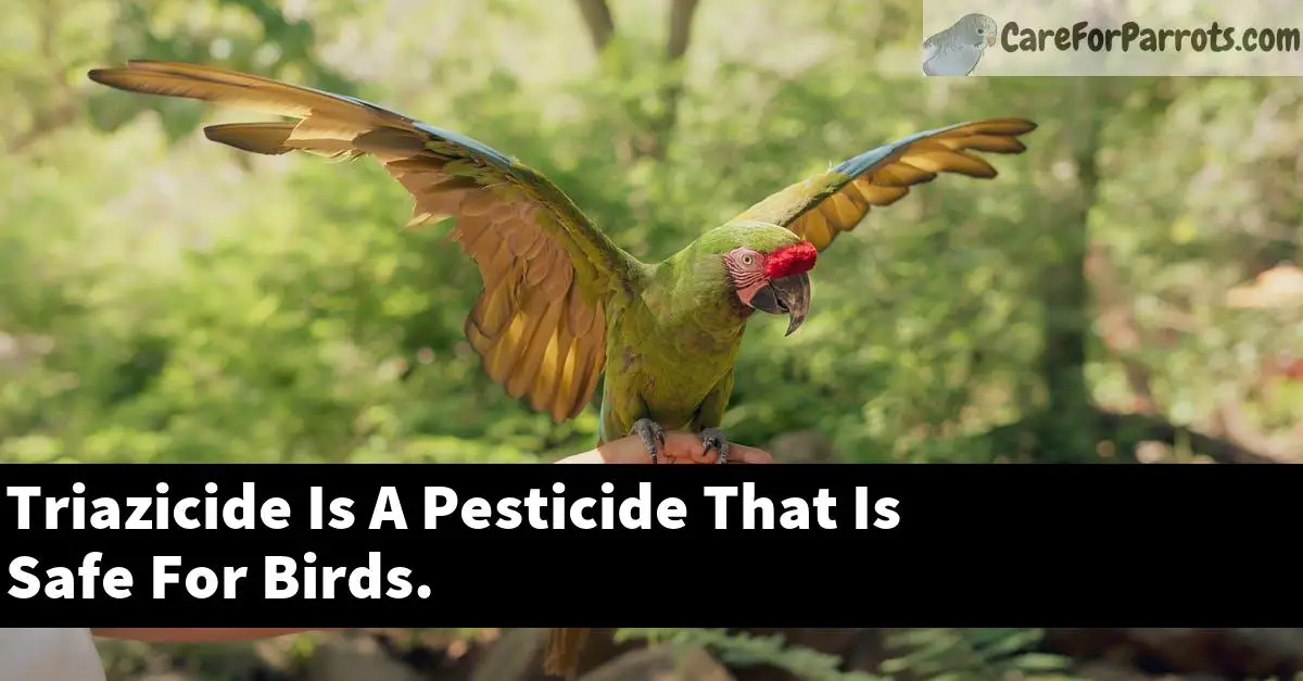 Triazicide Is A Pesticide That Is Safe For Birds.