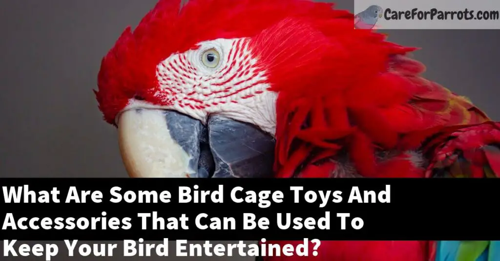 What Are Some Bird Cage Toys And Accessories That Can Be Used To Keep