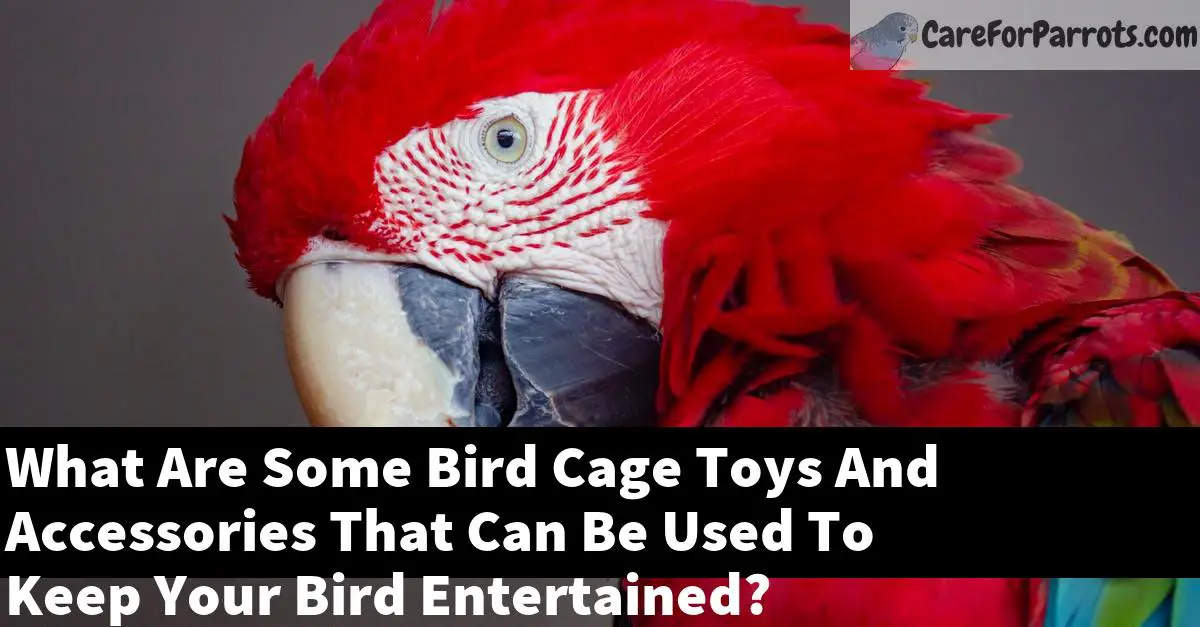 What Are Some Bird Cage Toys And Accessories That Can Be Used To Keep Your Bird Entertained?
