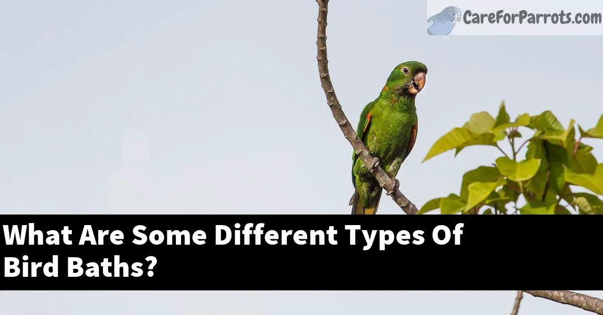 What Are Some Different Types Of Bird Baths?