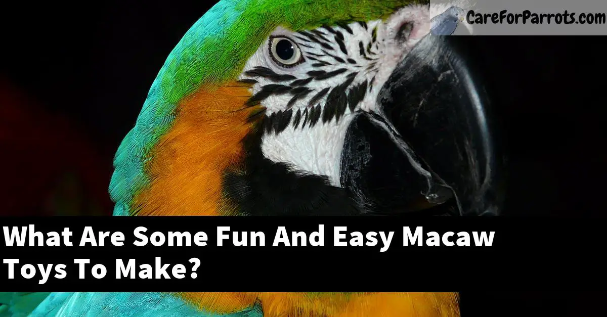 What Are Some Fun And Easy Macaw Toys To Make?
