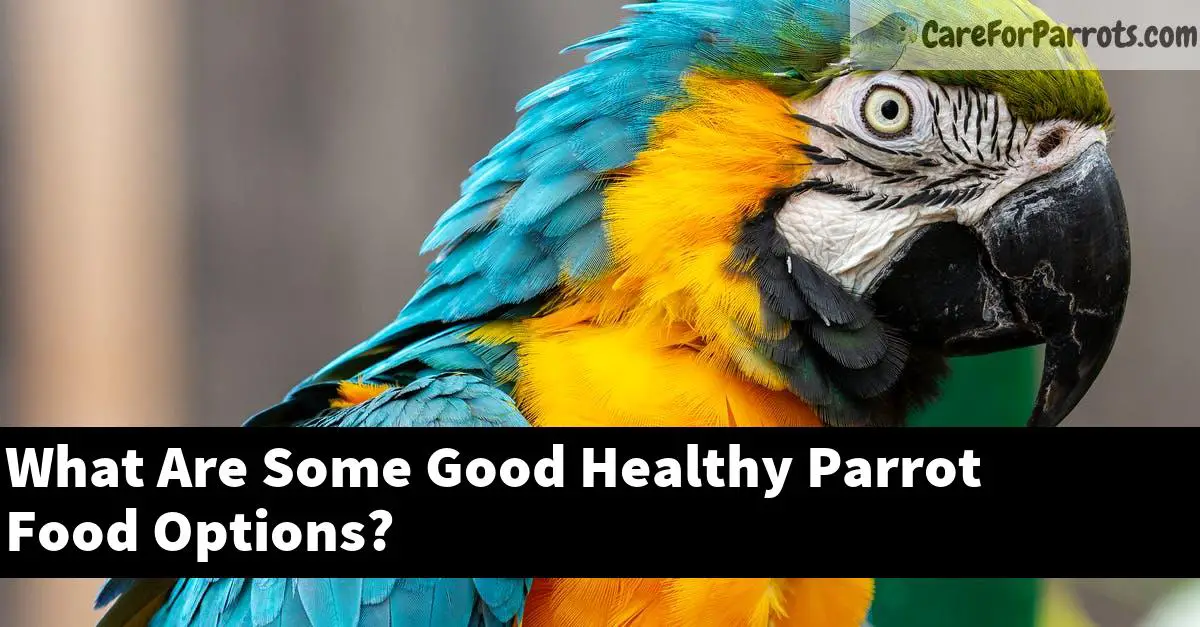 What Are Some Good Healthy Parrot Food Options?