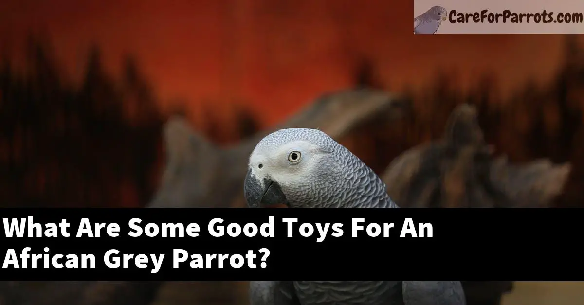 What Are Some Good Toys For An African Grey Parrot?