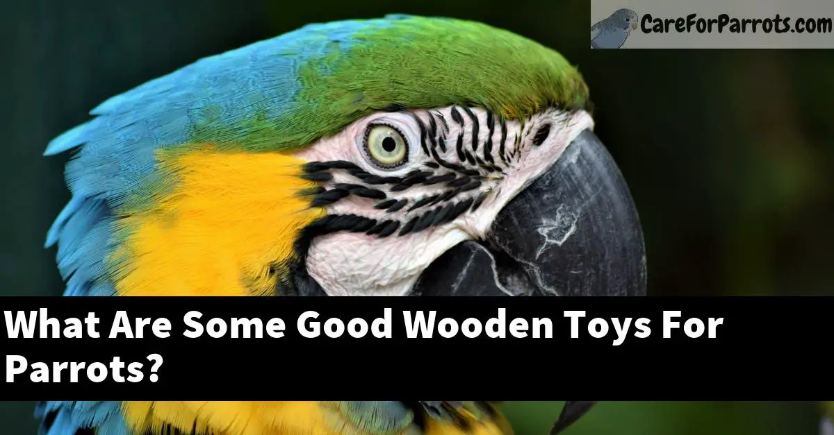 What Are Some Good Wooden Toys For Parrots?