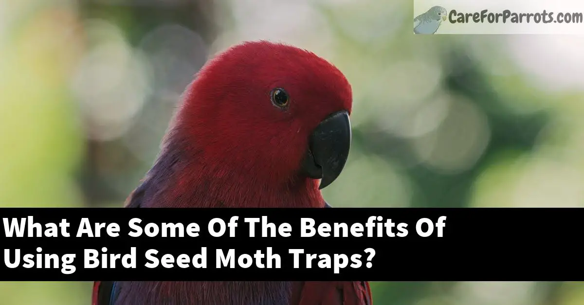 What Are Some Of The Benefits Of Using Bird Seed Moth Traps?