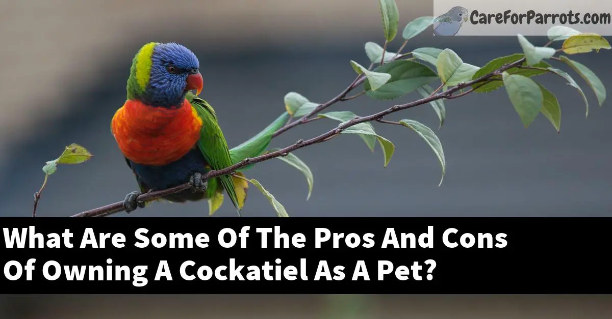 What Are Some Of The Pros And Cons Of Owning A Cockatiel As A Pet?