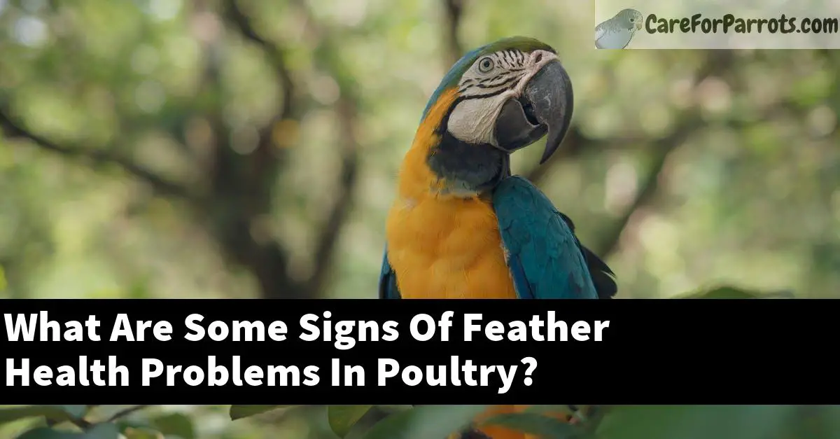 What Are Some Signs Of Feather Health Problems In Poultry?
