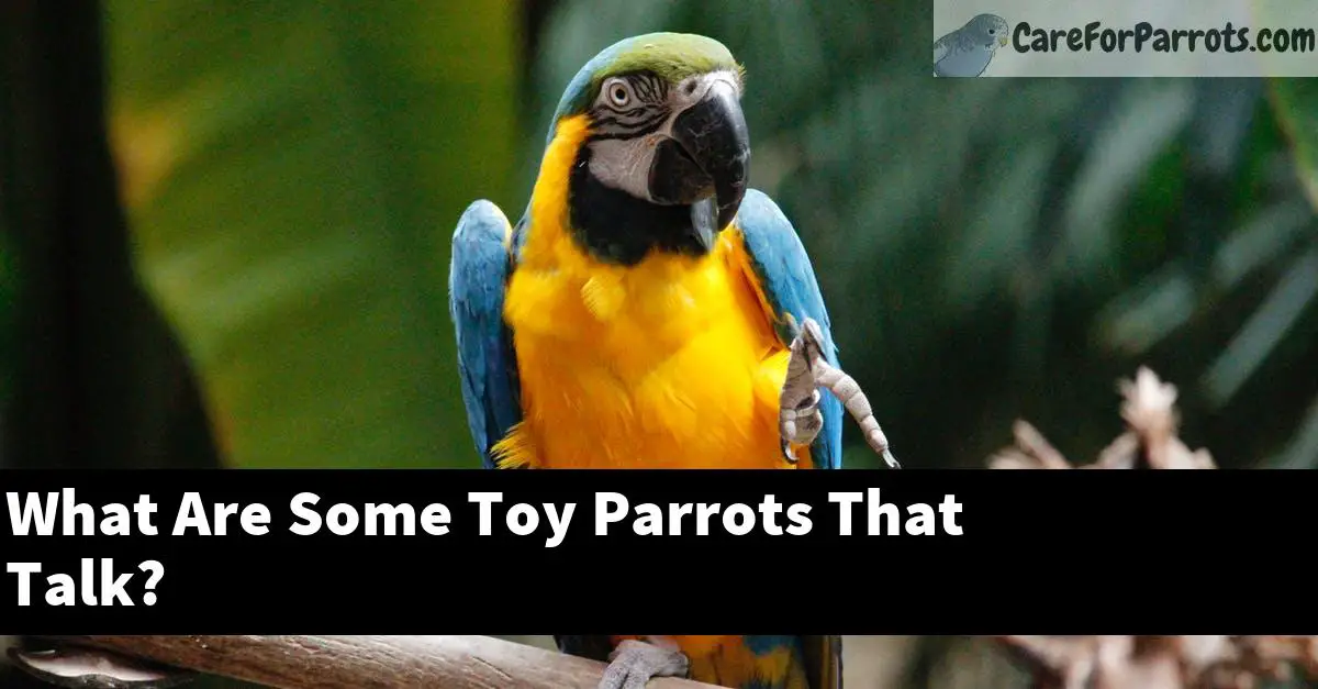 What Are Some Toy Parrots That Talk?
