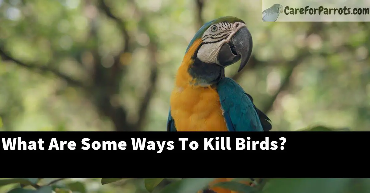 What Are Some Ways To Kill Birds?