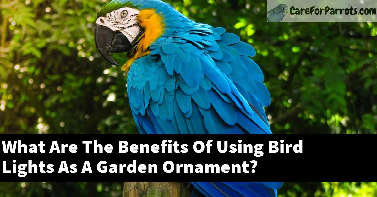 What Are The Benefits Of Using Bird Lights As A Garden Ornament?