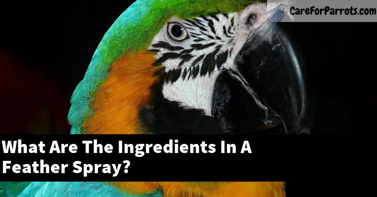 What Are The Ingredients In A Feather Spray?