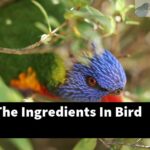 What Are The Ingredients In Bird Pellets?