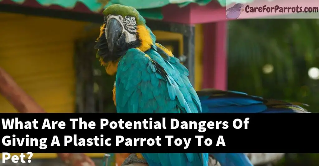 What Are The Potential Dangers Of Giving A Plastic Parrot Toy To A Pet