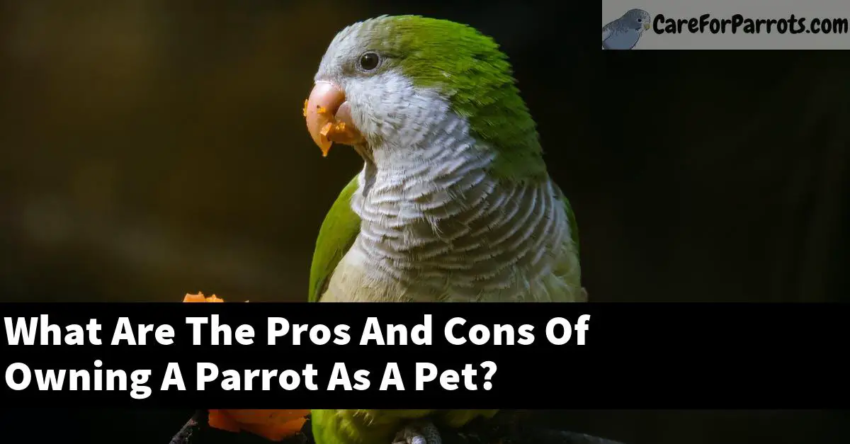 What Are The Pros And Cons Of Owning A Parrot As A Pet?