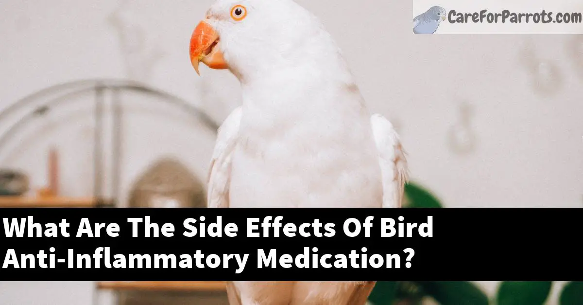 What Are The Side Effects Of Bird Anti-Inflammatory Medication?