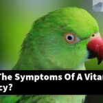 What Are The Symptoms Of A Vitamin A Deficiency?