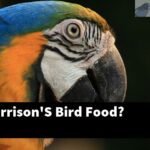What Is Harrison'S Bird Food?