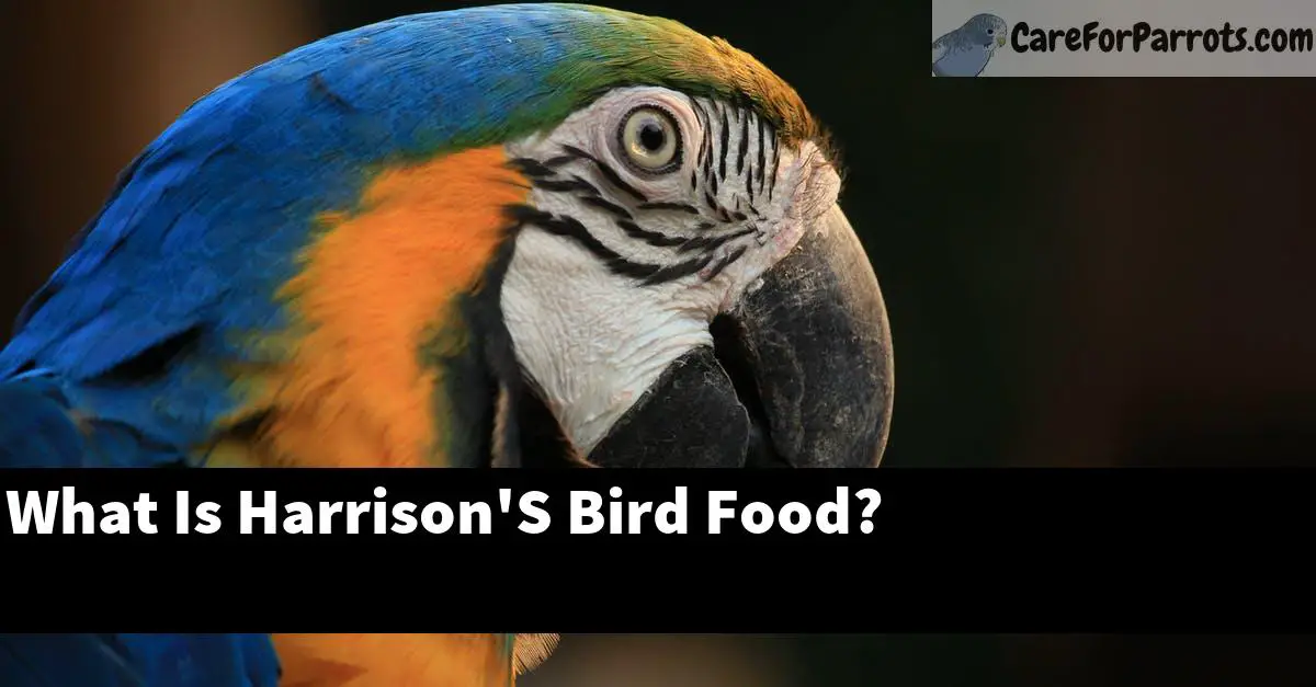 What Is Harrison'S Bird Food? - Care For Parrots