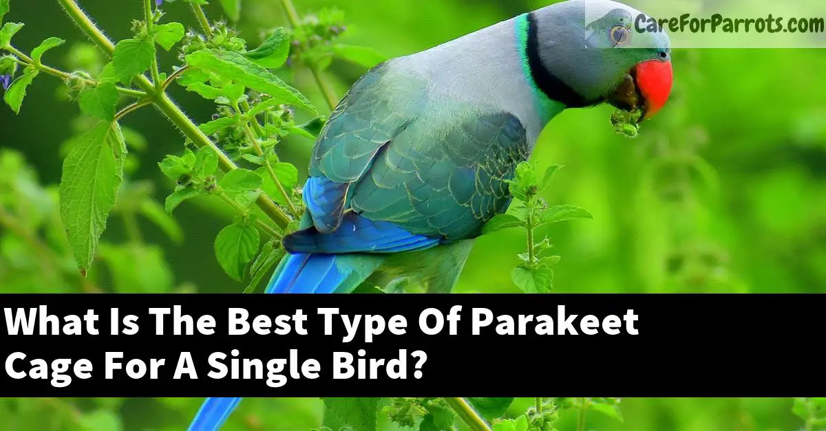 What Is The Best Type Of Parakeet Cage For A Single Bird?