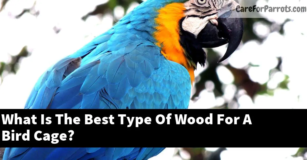 What Is The Best Type Of Wood For A Bird Cage?