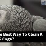 What Is The Best Way To Clean A Parakeet'S Cage?