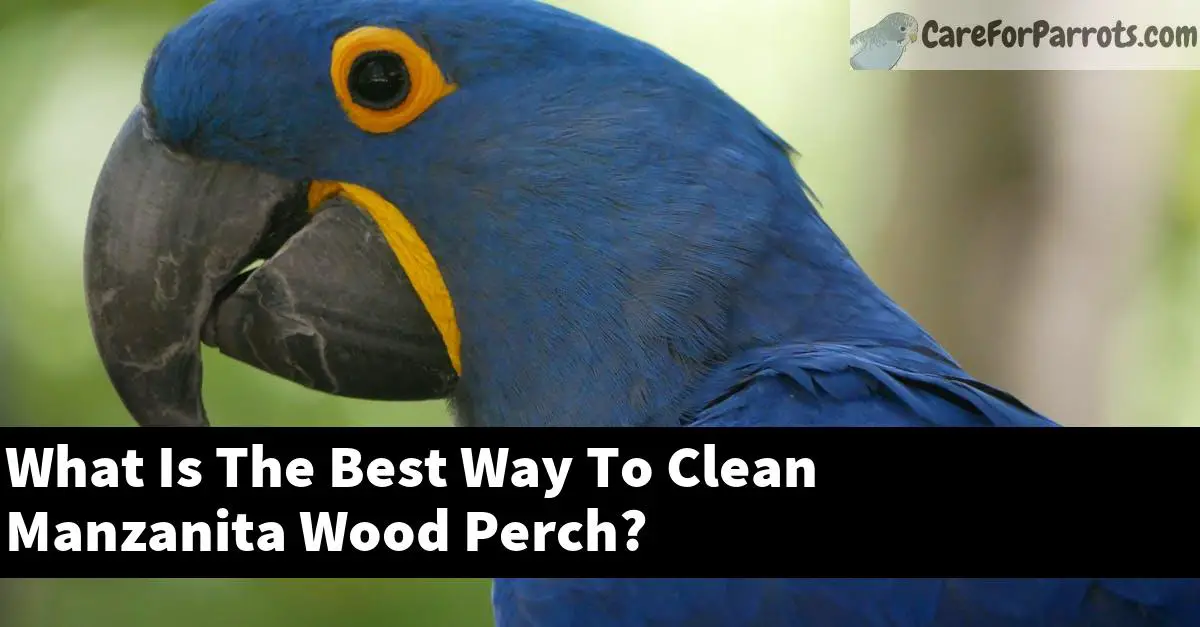 What Is The Best Way To Clean Manzanita Wood Perch?