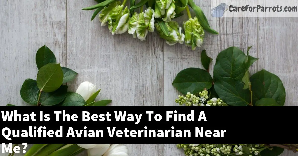 What Is The Best Way To Find A Qualified Avian Veterinarian Near Me?