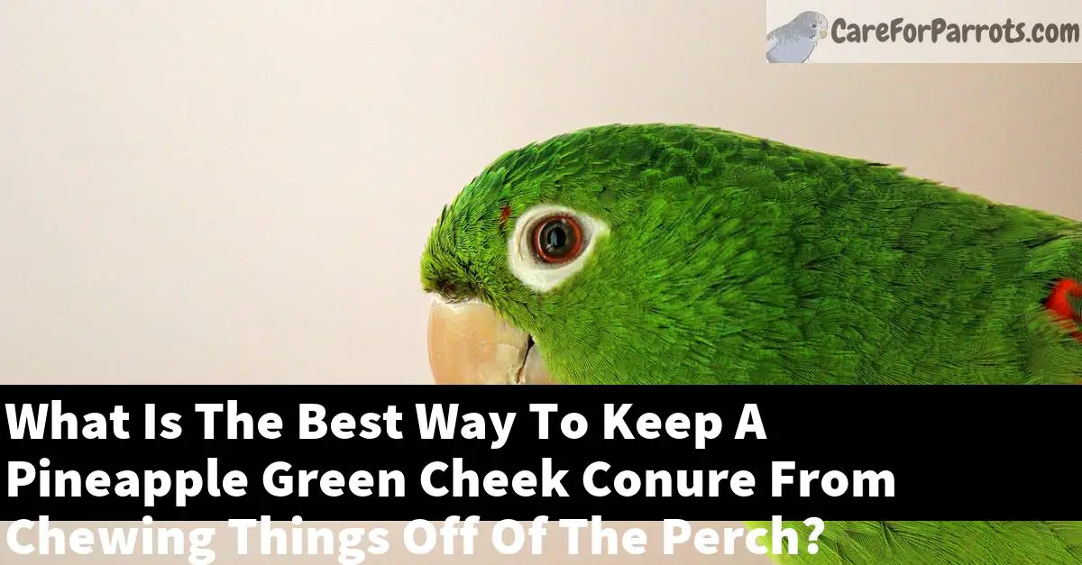 What Is The Best Way To Keep A Pineapple Green Cheek Conure From Chewing Things Off Of The Perch?