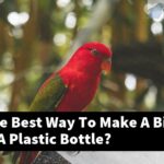 What Is The Best Way To Make A Bird Toy From A Plastic Bottle?