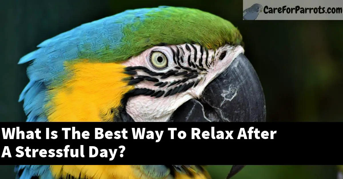 What Is The Best Way To Relax After A Stressful Day?