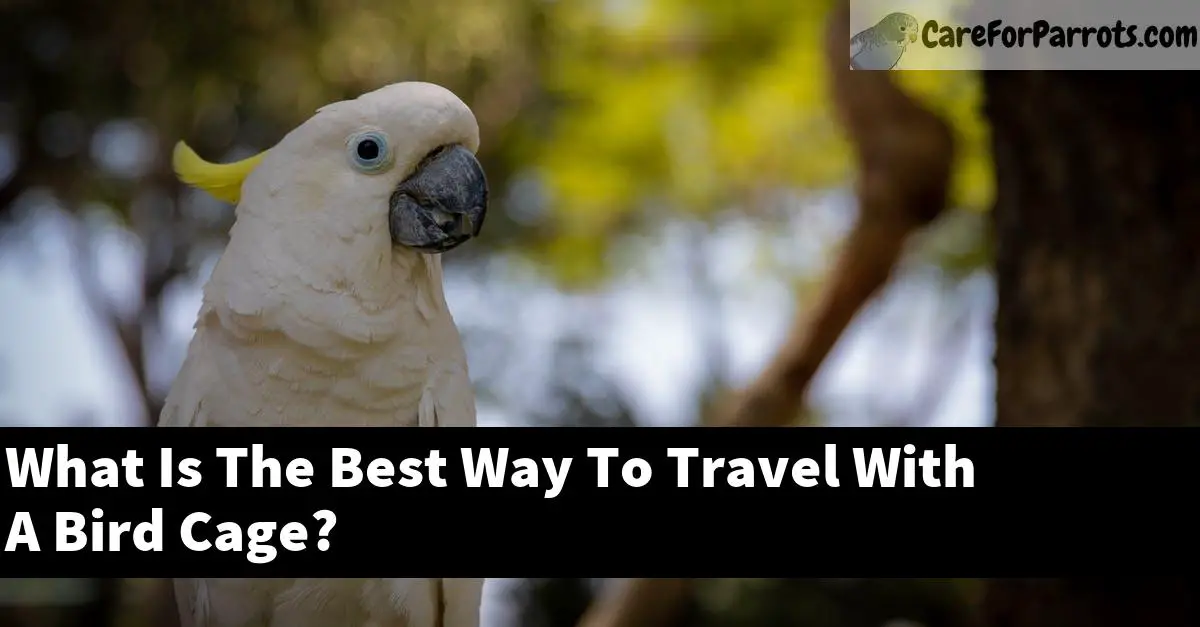 What Is The Best Way To Travel With A Bird Cage?