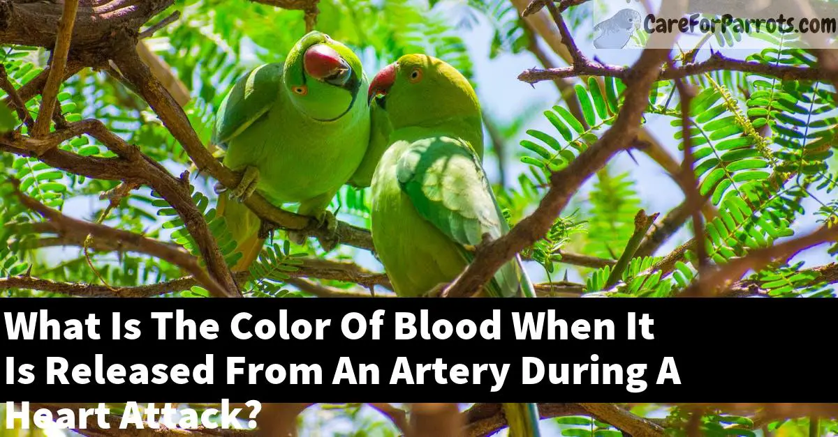 What Is The Color Of Blood When It Is Released From An Artery During A Heart Attack?