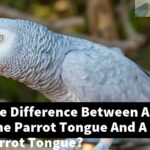 What Is The Difference Between A Alexandrine Parrot Tongue And A Typical Parrot Tongue?