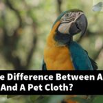 What Is The Difference Between A Bird Cloth And A Pet Cloth?